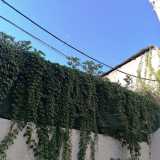 ...raggiunge l�opposta corte San Triggiano, dove termina con un muro perimetrale coperto da edera